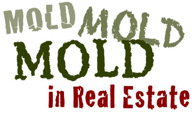 feat_Mold-in-Real-Estate