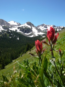 Indian Peaks Wilderness Area